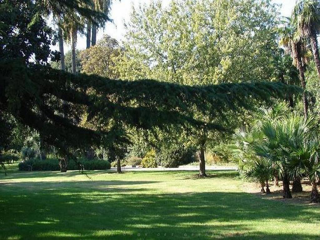 183 D35 PARC OLBIUS RIQUIER A HYERES_000020.jpg